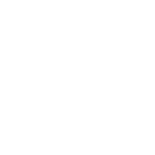 Asset Manager Icon